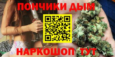 индика Дубна
