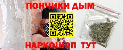 индика Дубна
