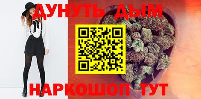 индика Дубна