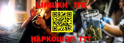 индика Дубна