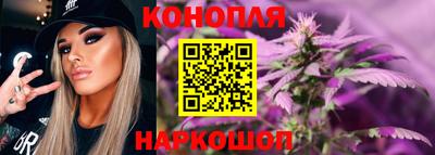 индика Дубна