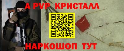 индика Дубна