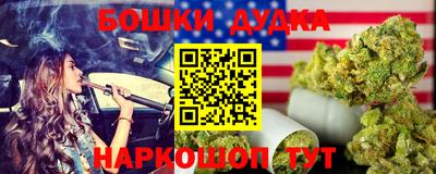 индика Дубна