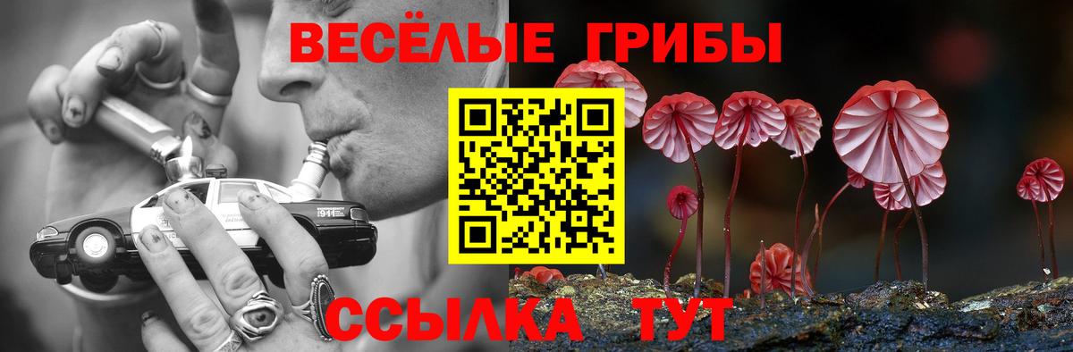 Галлюциногенные грибы прущие грибы  Вход с VPN  Галлюциногенные грибы мухоморы  Егорьевск 